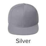 Silver $0.00