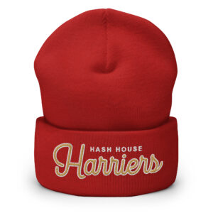 69ers Sportsball Beanie