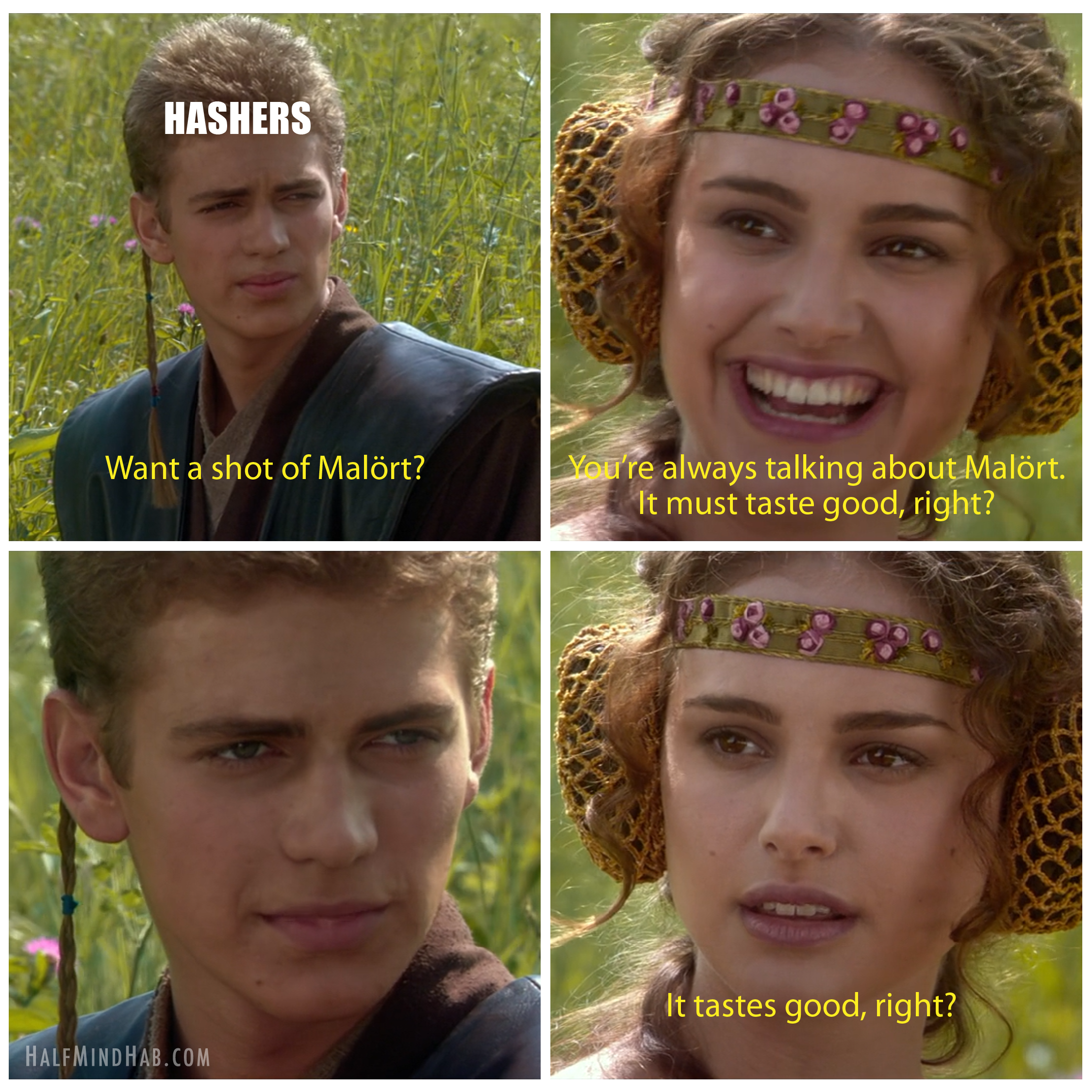 Anakin Loves Malort meme