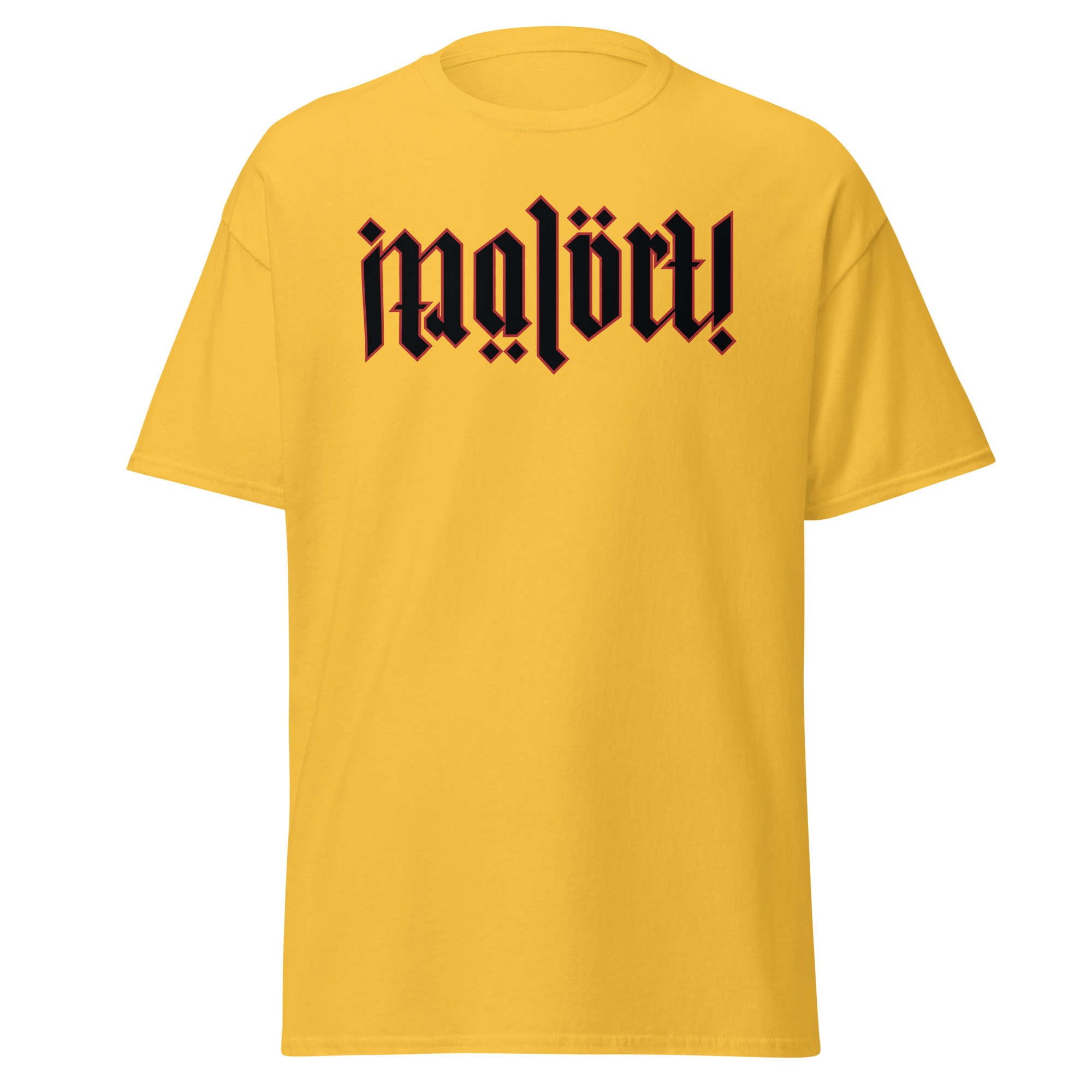 unisex-classic-tee-daisy-front-6a0d29c34dd45.jpg